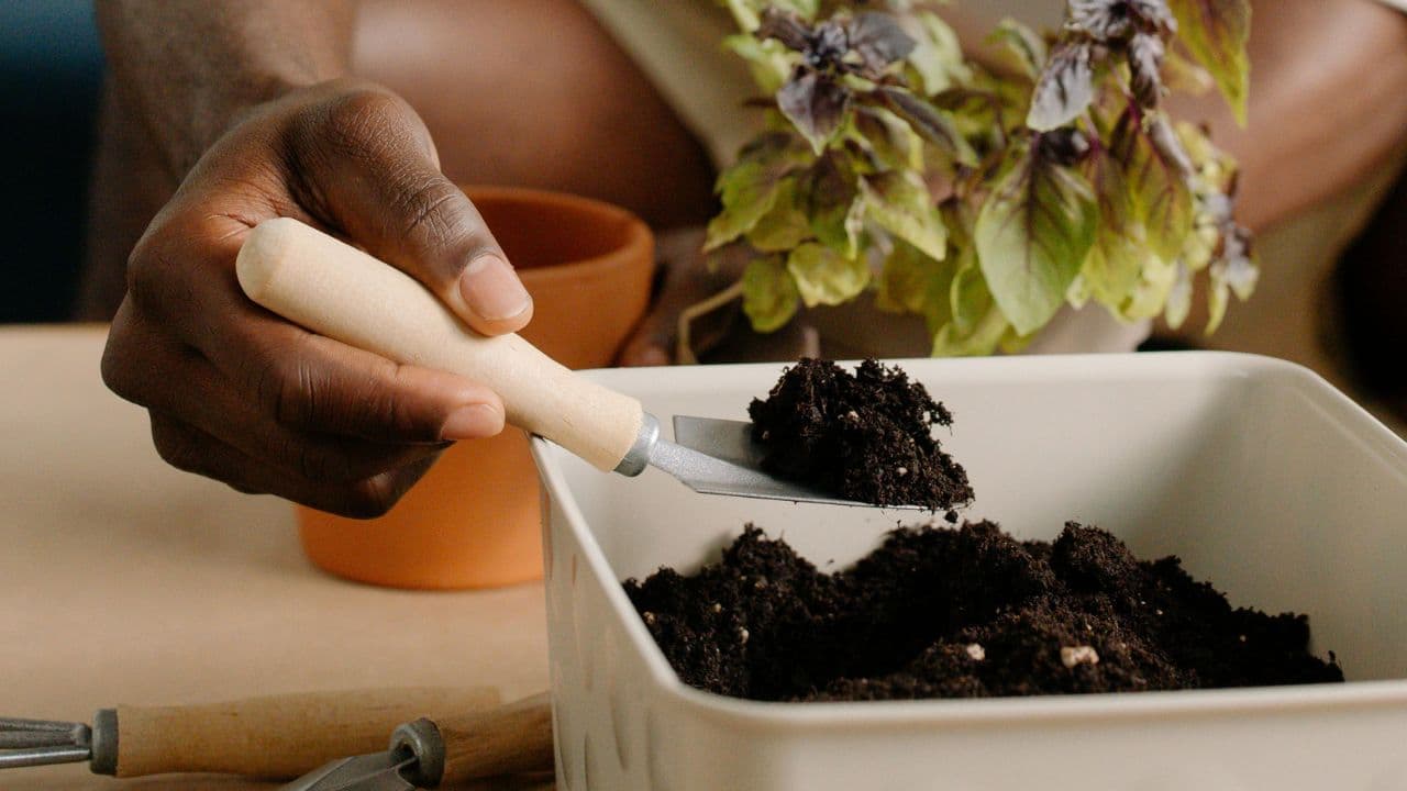 Geneva Chemistry Society Accepts Soil Test Samples